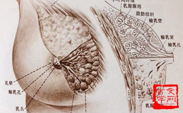 拈酸吃醋