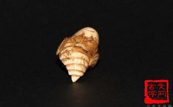 今蝉蜕壳