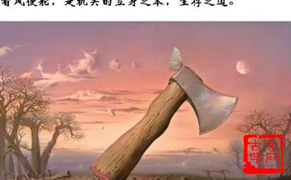 看风使舵