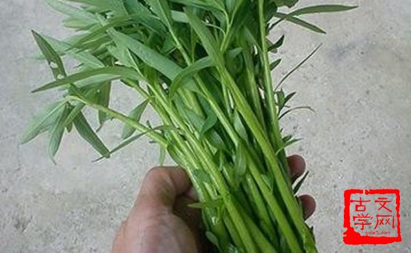 草创未就