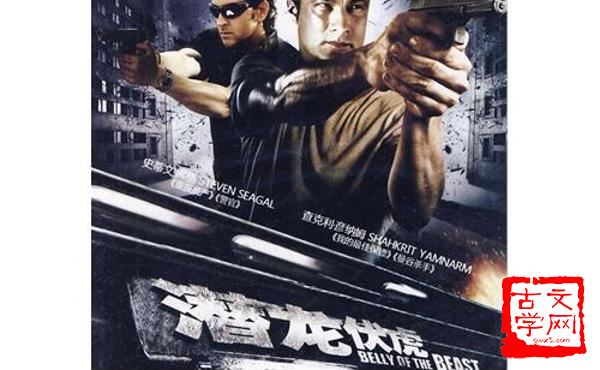 潜龙伏虎