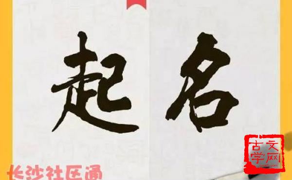 兹事体大