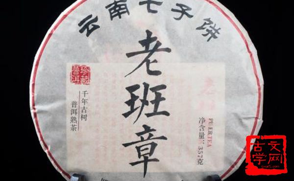 材茂行洁