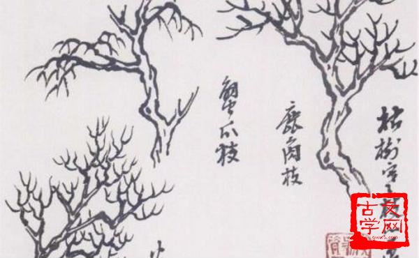 添枝增叶
