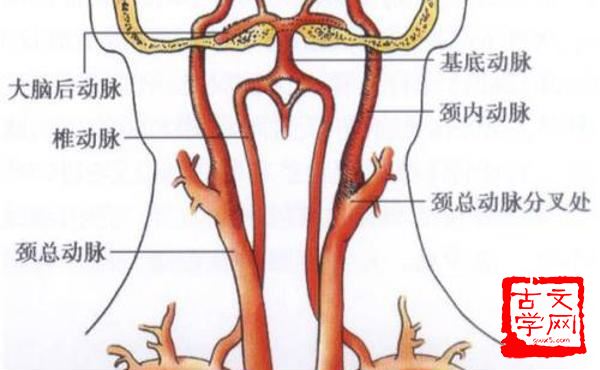 椎胸顿足