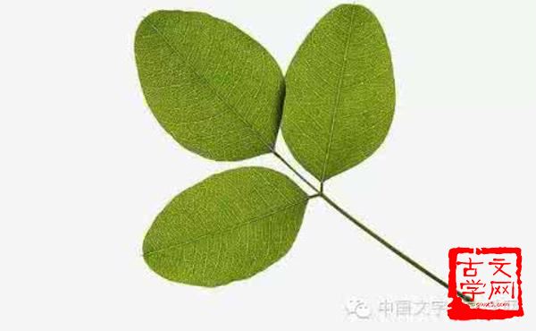 重熙累叶