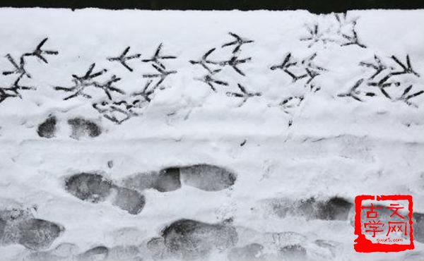 雪泥鸿爪