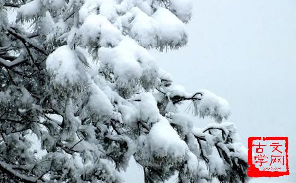 鹅毛大雪