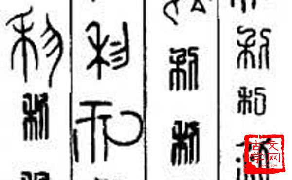 惟力是视