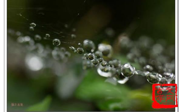 春雨如油