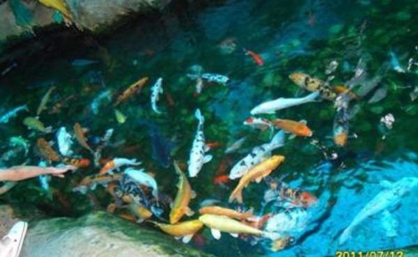 宽洪海量