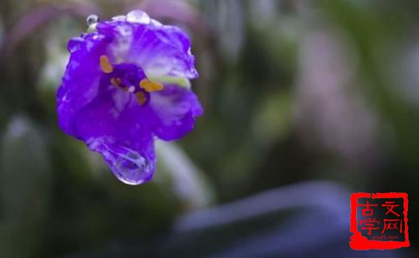 雨露之恩