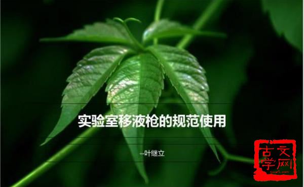 移根接叶