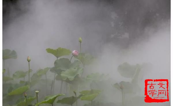 雾里看花