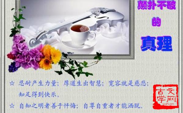 颠扑不破