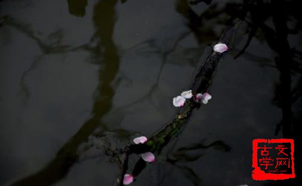 流水落花