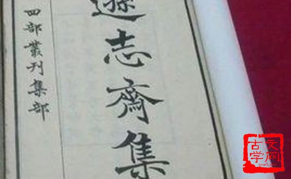 遗形藏志