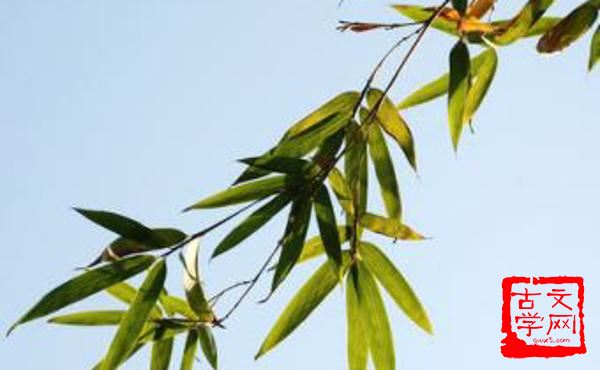 沅茝醴兰