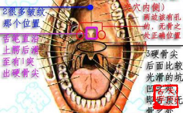 轻口轻舌