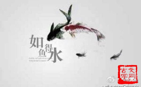 笼鸟池鱼